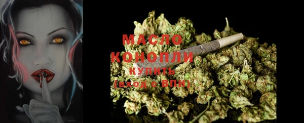 дживик Кропоткин