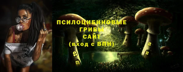 МДПВ Ростов