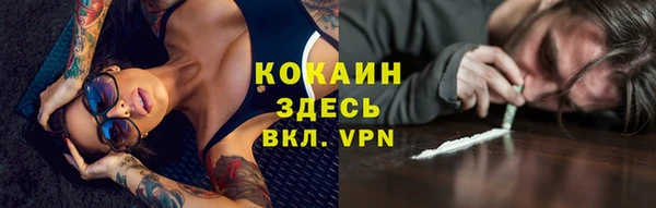 индика Приозерск