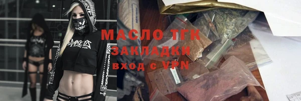 индика Приозерск