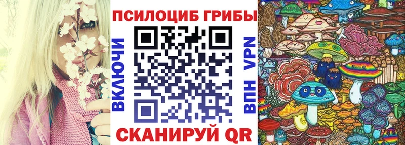 Псилоцибиновые грибы Magic Shrooms  Светогорск 